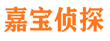 魏都市侦探公司